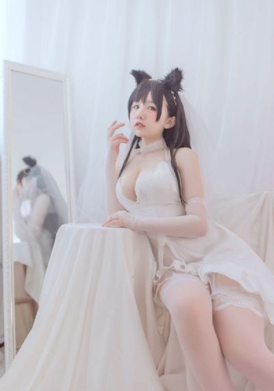 将军的双性娇妻h