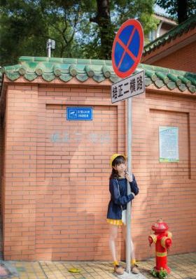 岳母在线观看