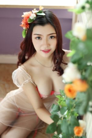 如果历史是一群喵全集免费