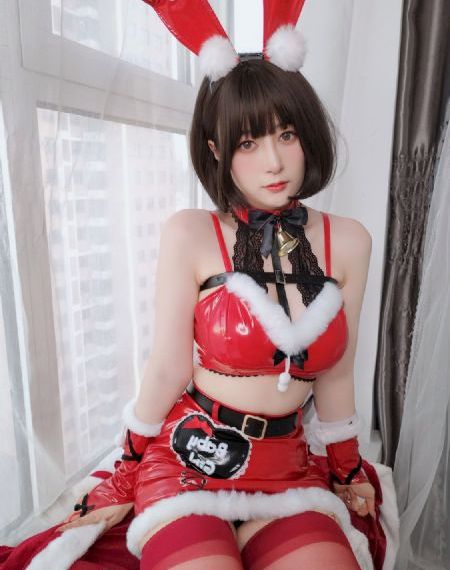 忠犬帕尔玛电影