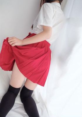 梦想成为魔法少女全集